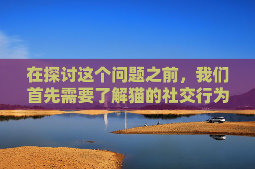 在探讨这个问题之前，我们首先需要了解猫的社交行为和认知能力。猫作为独立而神秘的动物，它们的行为往往超出了人类的理解范畴。关于猫是否能够识别并记住人类的面孔，这一问题一直备受争议。-猫认人吗 知乎