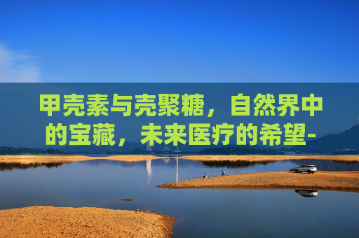 甲壳素与壳聚糖，自然界中的宝藏，未来医疗的希望-甲壳素壳聚糖是纤维素吗