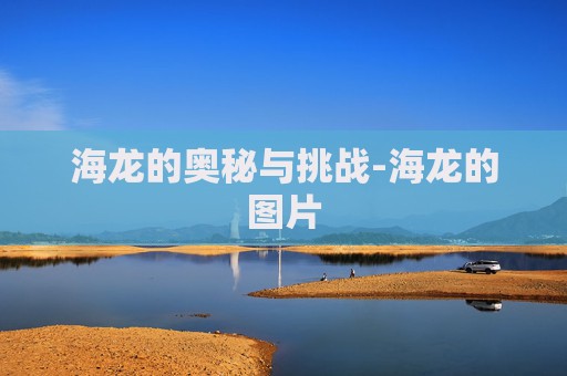 海龙的奥秘与挑战-海龙的图片