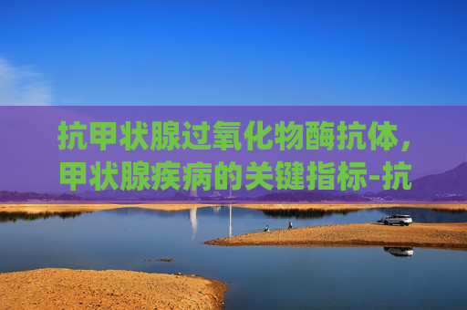 抗甲状腺过氧化物酶抗体，甲状腺疾病的关键指标-抗甲状腺过氧化物酶抗体>1000