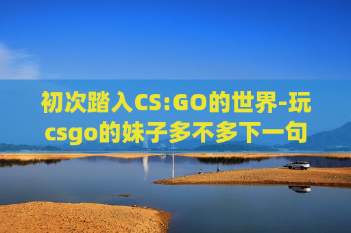 初次踏入CS:GO的世界-玩csgo的妹子多不多下一句怎么接