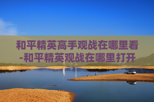 和平精英高手观战在哪里看-和平精英观战在哪里打开