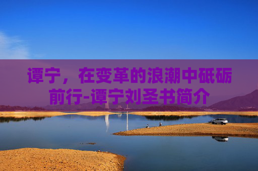 谭宁，在变革的浪潮中砥砺前行-谭宁刘圣书简介