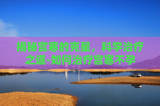 揭秘宫寒的克星，科学治疗之道-如何治疗宫寒不孕