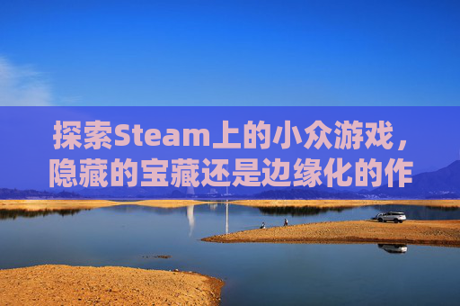 探索Steam上的小众游戏，隐藏的宝藏还是边缘化的作品？-steam小众游戏推荐