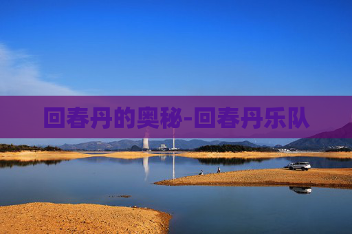 回春丹的奥秘-回春丹乐队