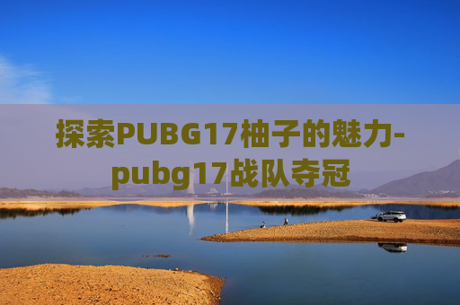 探索PUBG17柚子的魅力-pubg17战队夺冠