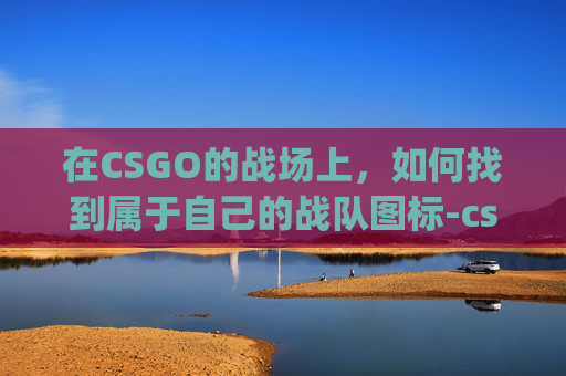 在CSGO的战场上，如何找到属于自己的战队图标-csgo匹配到战队图标不显示