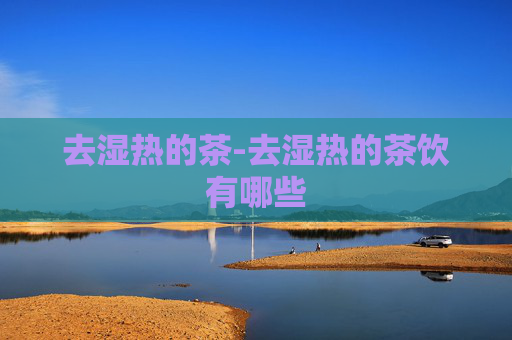 去湿热的茶-去湿热的茶饮有哪些