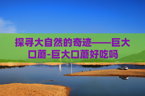探寻大自然的奇迹——巨大口蘑-巨大口蘑好吃吗