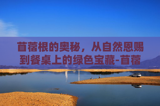 苜蓿根的奥秘，从自然恩赐到餐桌上的绿色宝藏-苜蓿根能栽活不
