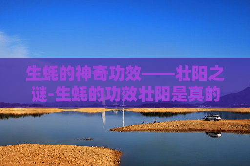 生蚝的神奇功效——壮阳之谜-生蚝的功效壮阳是真的吗