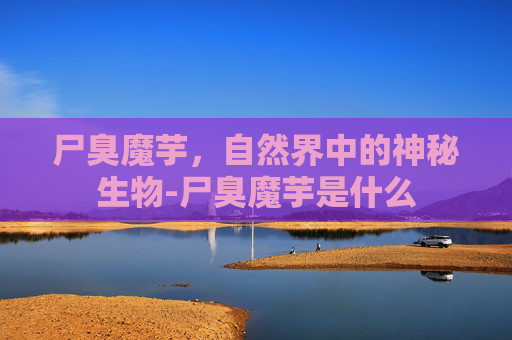 尸臭魔芋，自然界中的神秘生物-尸臭魔芋是什么