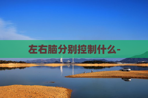 左右脑分别控制什么-