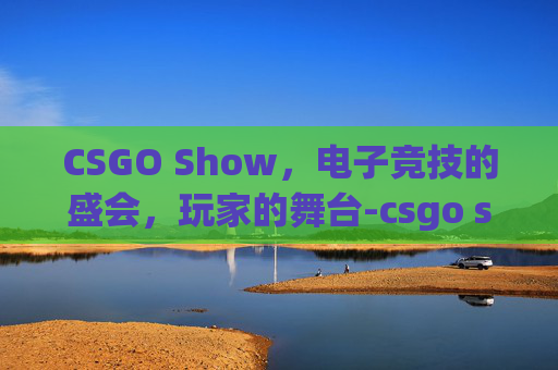 CSGO Show，电子竞技的盛会，玩家的舞台-csgo show fps