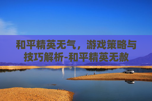 和平精英无气，游戏策略与技巧解析-和平精英无赦