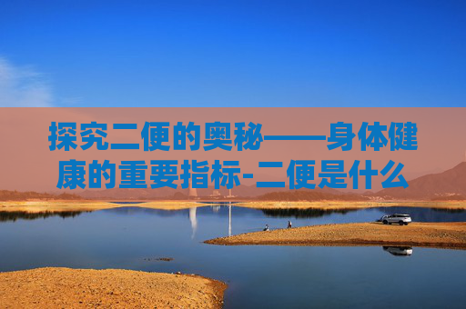 探究二便的奥秘——身体健康的重要指标-二便是什么意思
