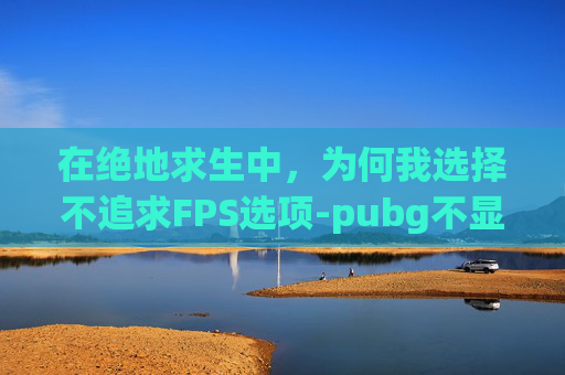在绝地求生中，为何我选择不追求FPS选项-pubg不显示fps了