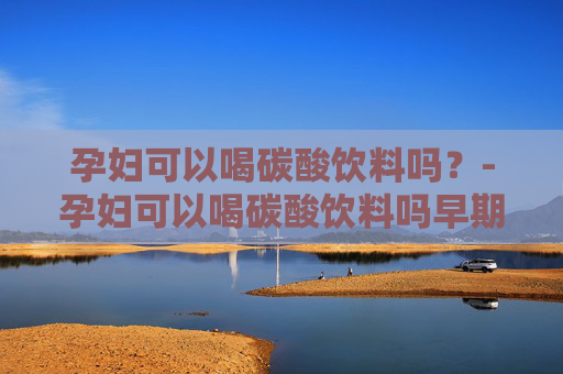 孕妇可以喝碳酸饮料吗？-孕妇可以喝碳酸饮料吗早期