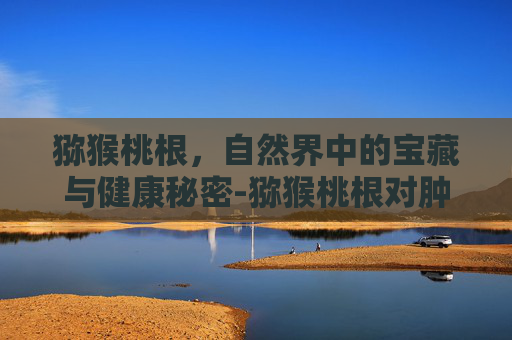 猕猴桃根，自然界中的宝藏与健康秘密-猕猴桃根对肿瘤有用吗