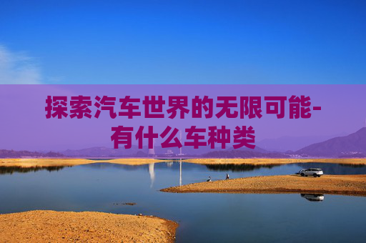 探索汽车世界的无限可能-有什么车种类