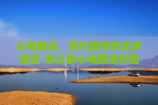 心电解读，现代医学的无声语言-怎么看心电图波形图
