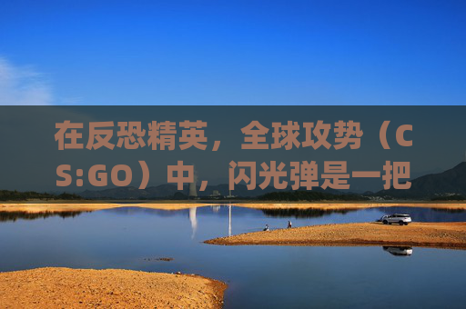 在反恐精英,全球攻势(CS:GO)中,闪光弹是一把双刃剑。它不仅能够为团队带来战术上的优势,同时也可能成为对手的噩梦。本文将深入探讨闪光弹在CS:GO中的使用技巧和策略,帮助你成为一名更加出色的玩家。-csgo皮肤枪文案 在反恐精英,全球攻势(CS:GO)中,闪光弹是一把双刃剑。它不仅能够为团队带来战术上的优势,同时也可能成为对手的噩梦。本文将深入探讨闪光弹在CS:GO中的使用技巧和策略,帮助你成为一名更加出色的玩家。-csgo皮肤枪文案