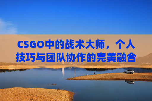 CSGO中的战术大师，个人技巧与团队协作的完美融合-csgo个人数据查询