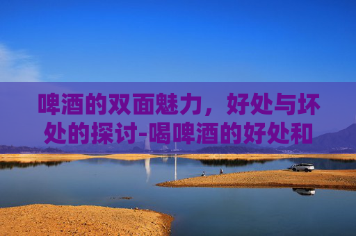 啤酒的双面魅力，好处与坏处的探讨-喝啤酒的好处和坏处是什么呢