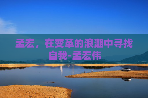 孟宏，在变革的浪潮中寻找自我-孟宏伟