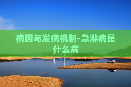 病因与发病机制-急淋病是什么病