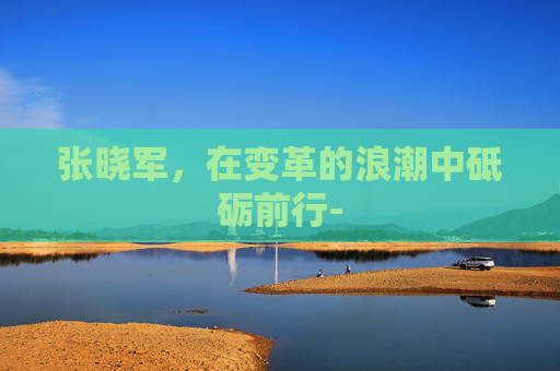 张晓军，在变革的浪潮中砥砺前行-