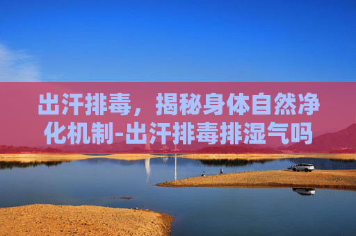 出汗排毒，揭秘身体自然净化机制-出汗排毒排湿气吗