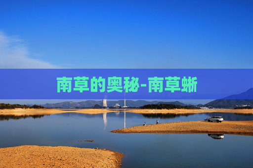 南草的奥秘-南草蜥