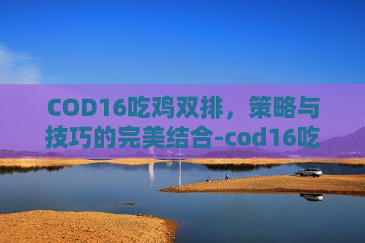 COD16吃鸡双排，策略与技巧的完美结合-cod16吃鸡模式什么时候出