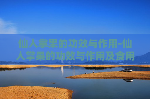 仙人掌果的功效与作用-仙人掌果的功效与作用及食用方法