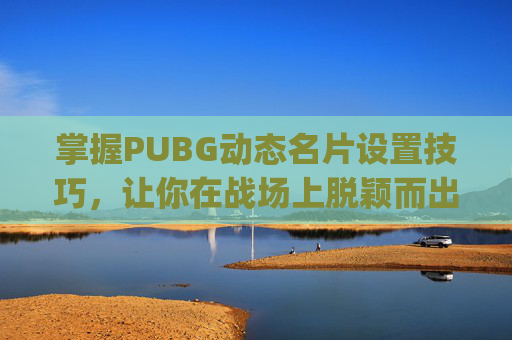掌握PUBG动态名片设置技巧，让你在战场上脱颖而出-pubg名片怎么关显示