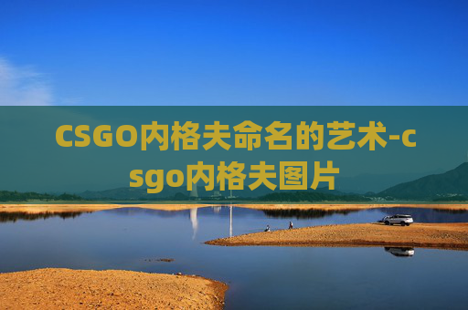 CSGO内格夫命名的艺术-csgo内格夫图片