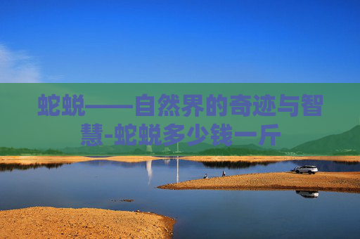 蛇蜕——自然界的奇迹与智慧-蛇蜕多少钱一斤