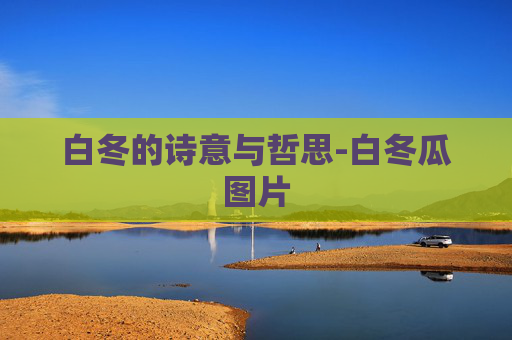 白冬的诗意与哲思-白冬瓜图片