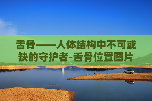 舌骨——人体结构中不可或缺的守护者-舌骨位置图片