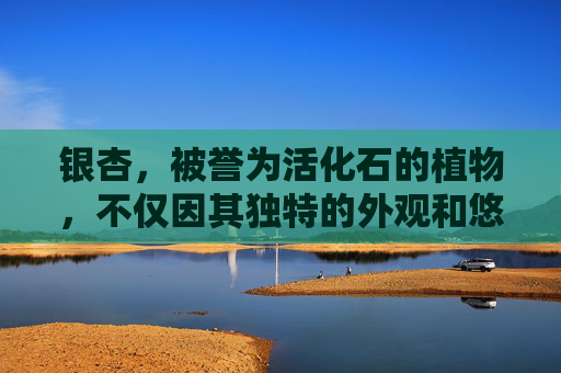 银杏，被誉为活化石的植物，不仅因其独特的外观和悠久的历史而闻名，更因其多方面的药用价值而备受推崇。在这篇文章中，我们将深入探讨银杏的功效，并探索其如何为现代生活带来益处。-银杏的功效与作用及食用方法和禁忌