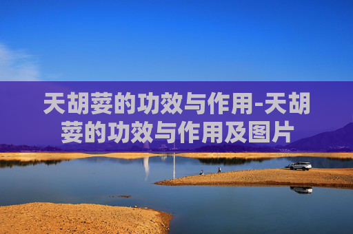 天胡荽的功效与作用-天胡荽的功效与作用及图片