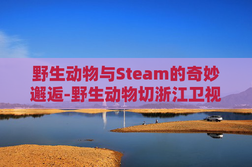 野生动物与Steam的奇妙邂逅-野生动物切浙江卫视