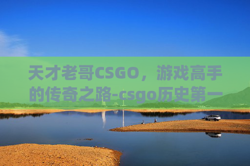 天才老哥CSGO，游戏高手的传奇之路-csgo历史第一人天才