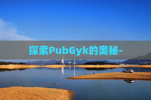 探索PubGyk的奥秘-