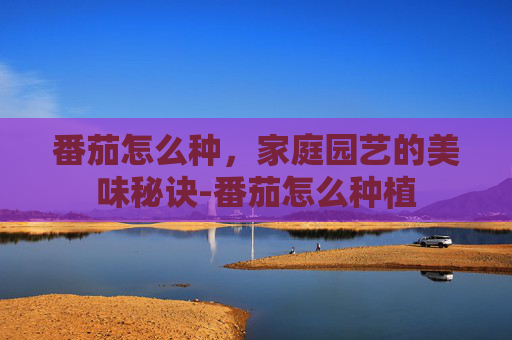 番茄怎么种，家庭园艺的美味秘诀-番茄怎么种植