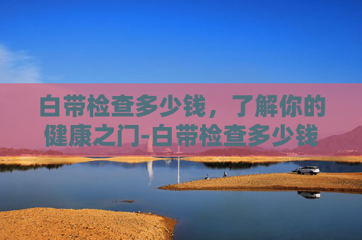 白带检查多少钱，了解你的健康之门-白带检查多少钱大概