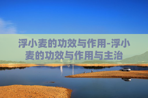 浮小麦的功效与作用-浮小麦的功效与作用与主治