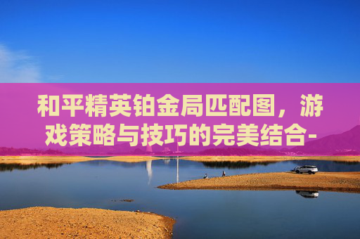和平精英铂金局匹配图，游戏策略与技巧的完美结合-和平精英铂金局怎么玩